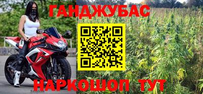 сатива Пенза