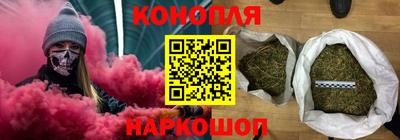 сатива Пенза