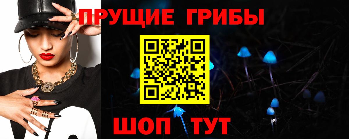 Галлюциногенные грибы Psilocybe Нефтекамск