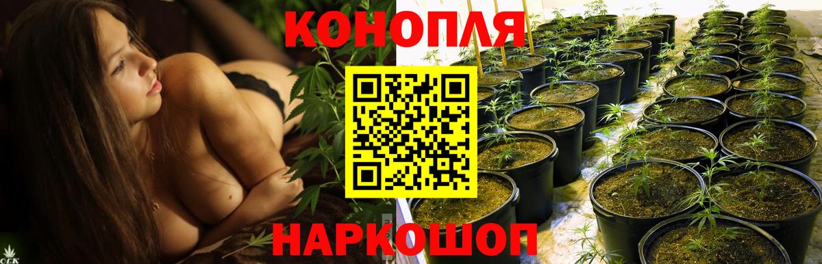 Шишки марихуана MAZAR Нефтекамск